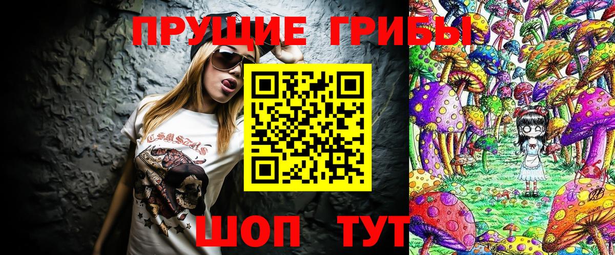Псилоцибиновые грибы прущие грибы  Вход с VPN  Бийск  Псилоцибиновые грибы GOLDEN TEACHER 